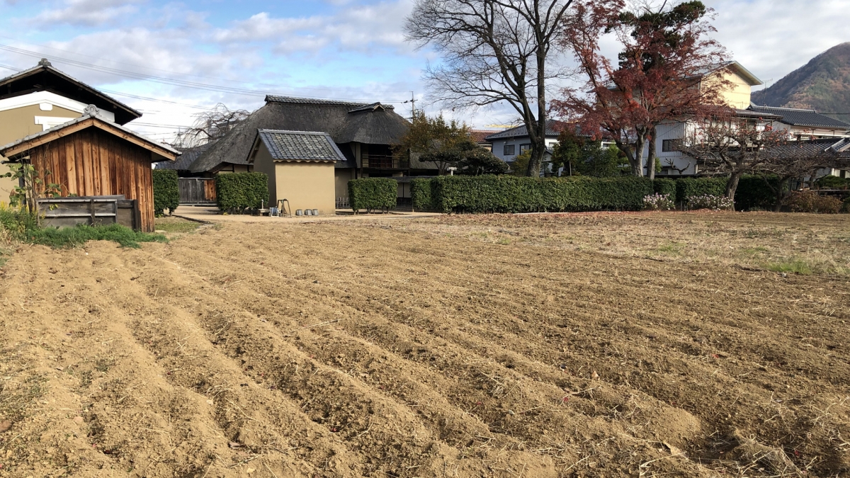 Yokota Family Residence – Field