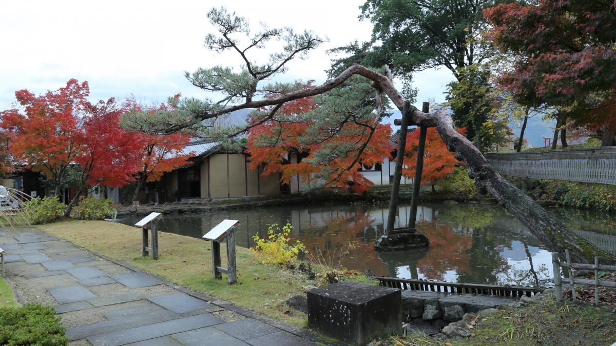 ชมประตูและห้องทำงานส่วนตัวจากสวนญี่ปุ่น